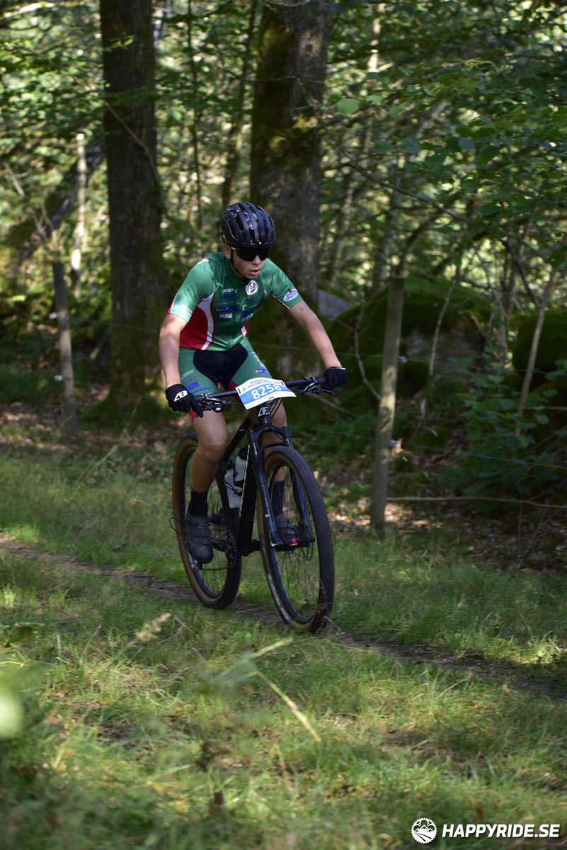 Bild från Bockstensturen 2019